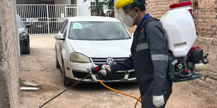 Registra Chihuahua nueve muertes por rickettsia; anuncian operativo en colonias