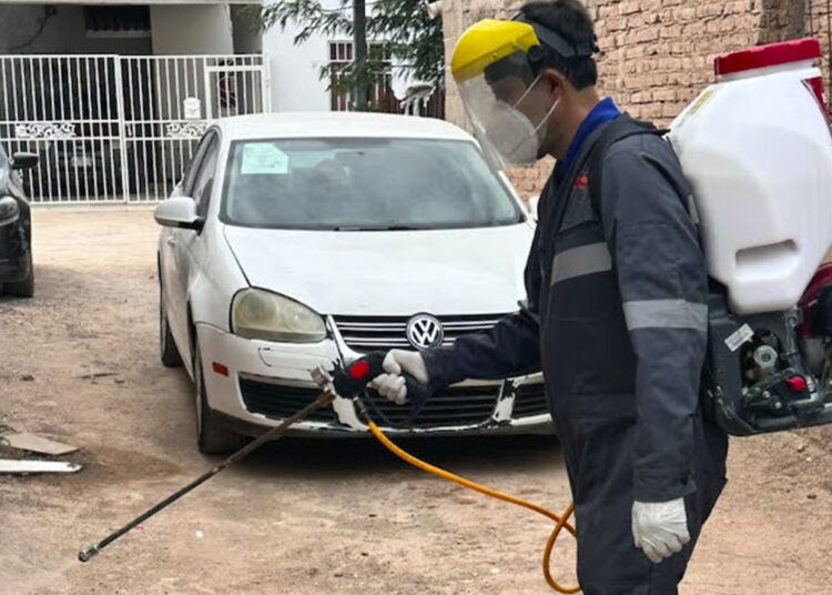 Registra Chihuahua nueve muertes por rickettsia; anuncian operativo en colonias