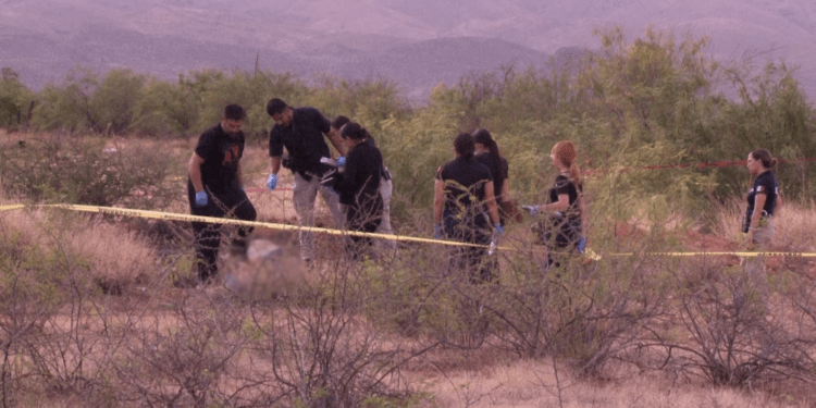 Localizan a un hombre sin vida en brecha de la colonia Valles de Chihuahua
