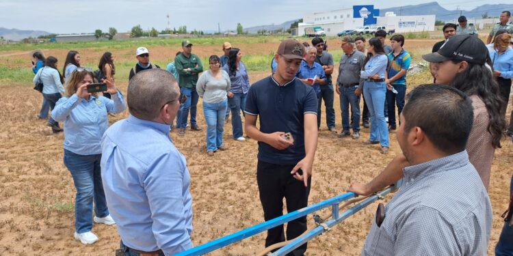 Abre SDR convocatoria de Apoyos Económicos para el Desarrollo de Estudios y Diagnósticos de Interés Institucional