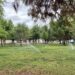 Fortalece Municipio el cuidado de los parques como puntos de encuentro y recreación