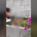 Indignación por video de presunto maltrato animal en la colonia Nuevo Chihuahua