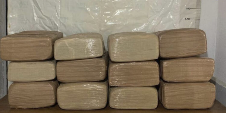 Asegura la AEI 120 kilos de mariguana en brecha de Uruachi