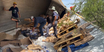 Rapiñan cargamento de queso crema tras volcadura de tráiler en la carretera Chihuahua-Delicias