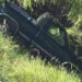 Cae camioneta al cauce de un arroyo tras evitar atropellar a un peatón en la Silvestre Terrazas