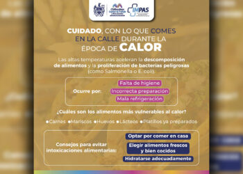 Emiten recomendaciones para cuidar los alimentos por temporada de calor