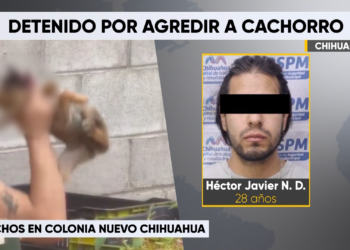Detienen a hombre captado maltratando a un cachorro en Chihuahua