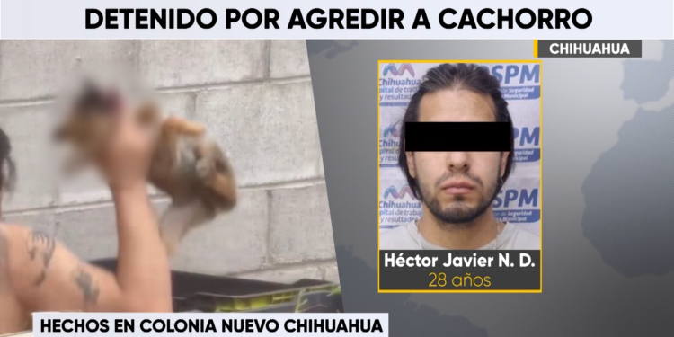 Detienen a hombre captado maltratando a un cachorro en Chihuahua