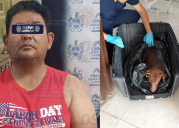 Detienen a hombre por maltrato animal y canino es rescatado y resguardado