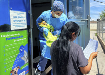 Esterimóvil fortalece la atención al sur de la ciudad con esterilizaciones gratuitas en Sierra Azul