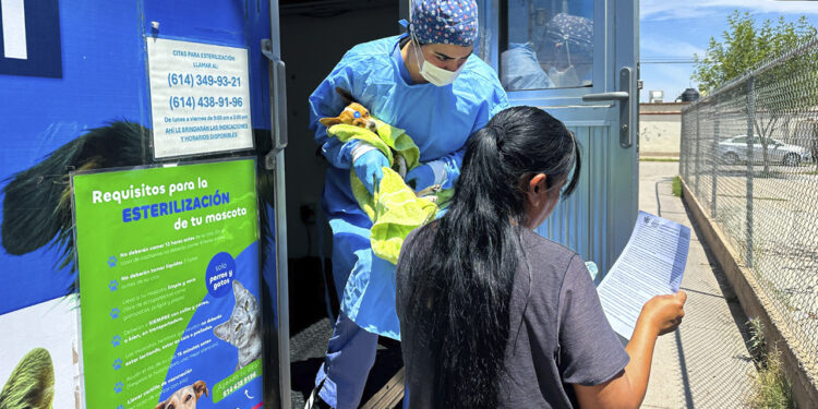Esterimóvil fortalece la atención al sur de la ciudad con esterilizaciones gratuitas en Sierra Azul