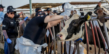 Mantiene Chihuahua acciones de prevención, vigilancia y reforzamiento sanitario contra el GBG
