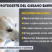 Emiten recomendaciones para prevenir contagios por gusano barrenador