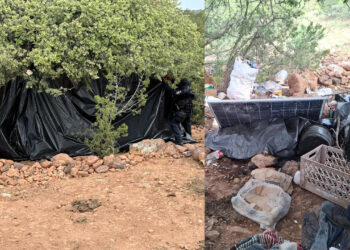 Desarticulan campamentos de presunto uso criminal en Belisario Domínguez