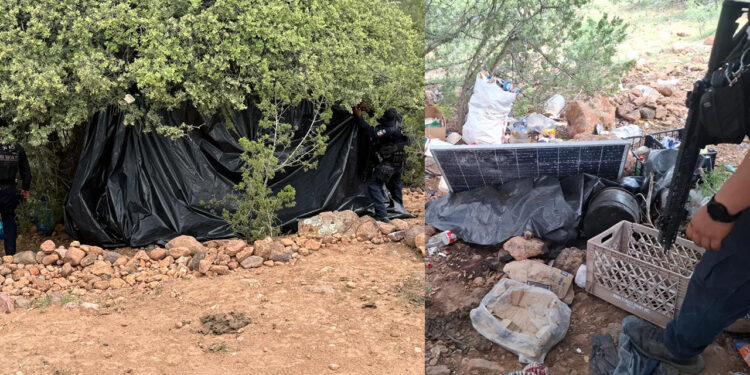Desarticulan campamentos de presunto uso criminal en Belisario Domínguez
