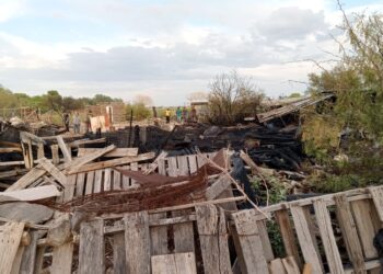Incendio en chiqueras de Delicias deja 21 animales muertos