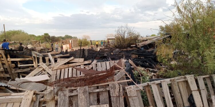 Incendio en chiqueras de Delicias deja 21 animales muertos