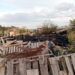 Incendio en chiqueras de Delicias deja 21 animales muertos