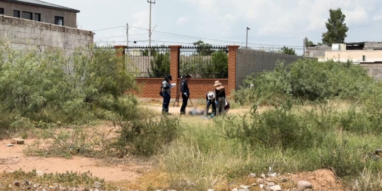 Hombre es ejecutado cuando se dirigía a su trabajo en la colonia Los Llanos