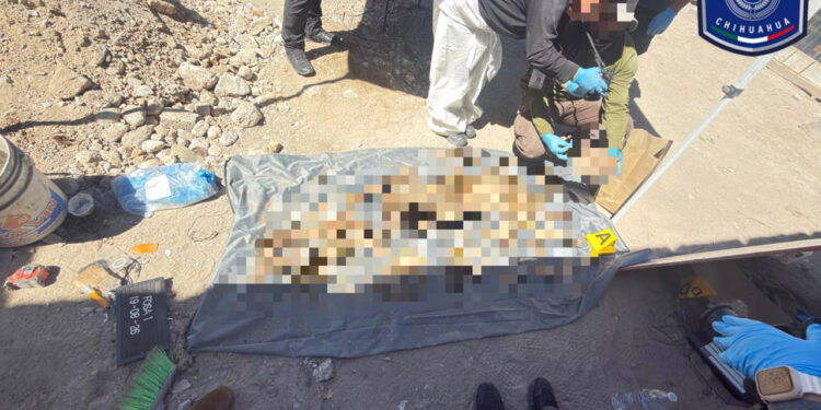 Localizan tres osamentas durante cateo en domicilio de Ciudad Juárez