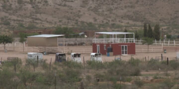 Organizadores de rodeo en apoyo a Cruz Pérez Cuéllar podrían recibir multa de hasta 75 mil pesos