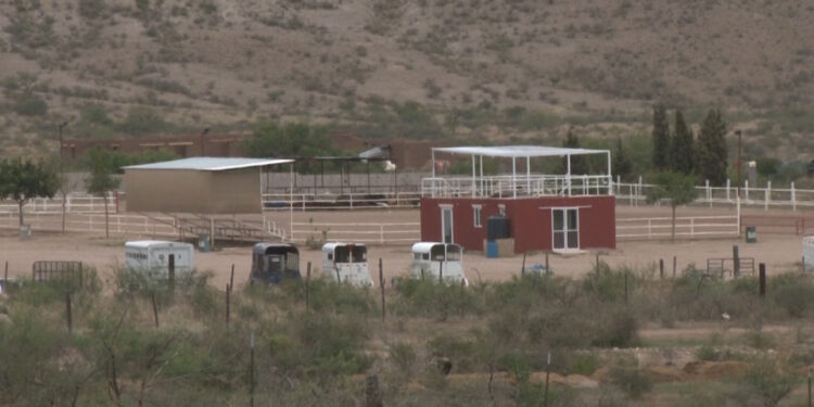 Organizadores de rodeo en apoyo a Cruz Pérez Cuéllar podrían recibir multa de hasta 75 mil pesos