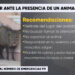 ¿Qué hacer ante la presencia de un animal silvestre?