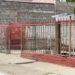 Localizan cuerpo enterrado en fosa clandestina dentro de vivienda en Chihuahua
